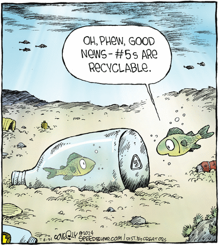 Speed Bump
