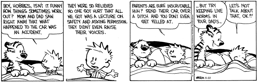 Calvin and Hobbes