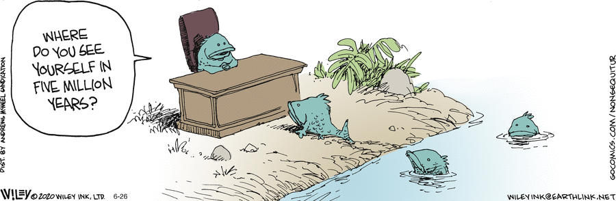 Non Sequitur