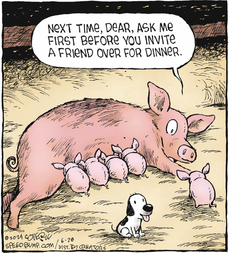 Speed Bump
