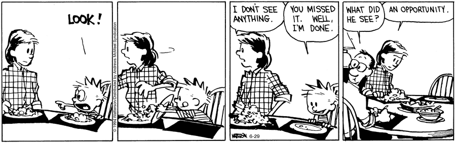 Calvin and Hobbes