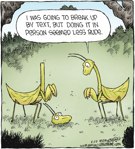 Speed Bump