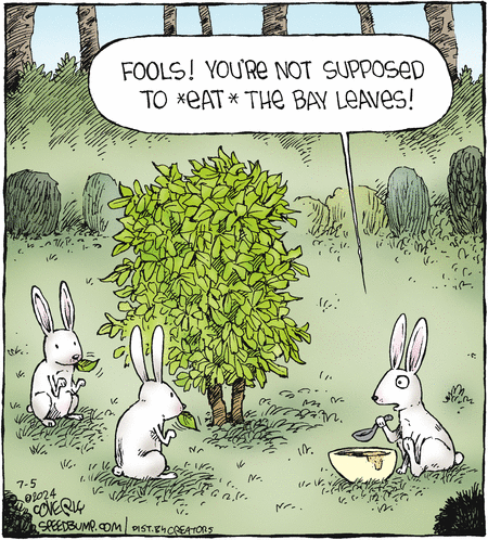 Speed Bump
