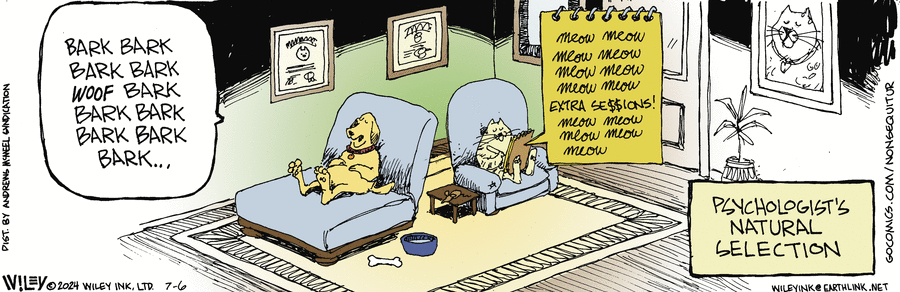 Non Sequitur