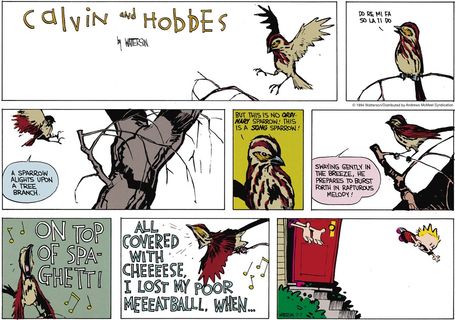 Calvin and Hobbes