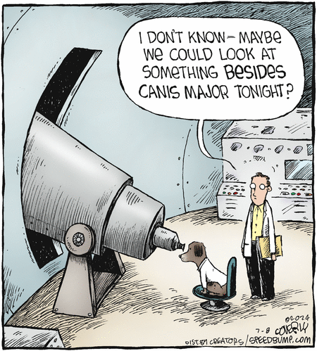 Speed Bump