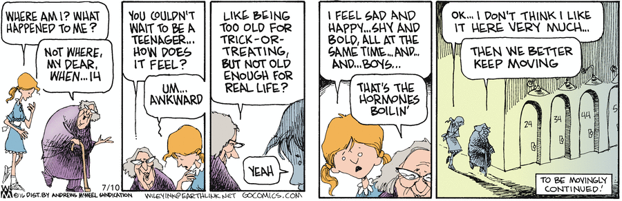 Non Sequitur