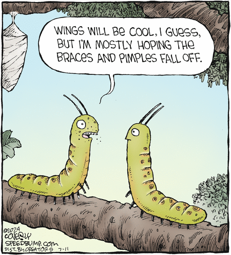 Speed Bump