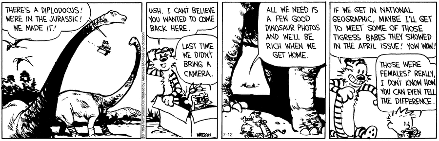 Calvin and Hobbes