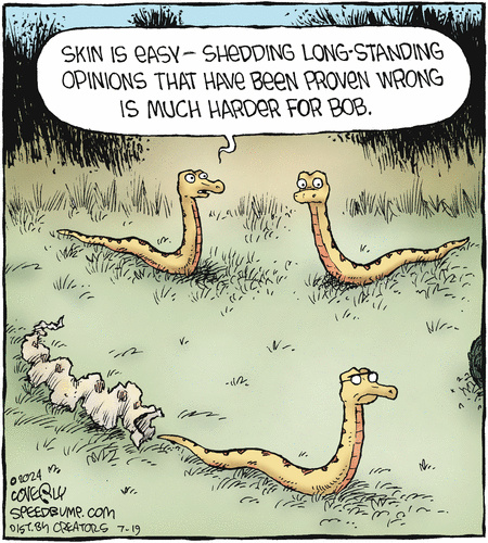 Speed Bump
