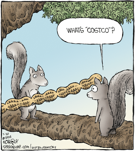 Speed Bump