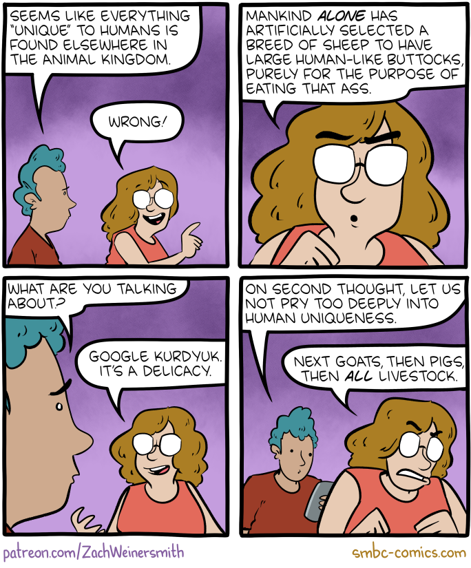 Saturday Morning Breakfast Cereal