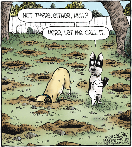 Speed Bump