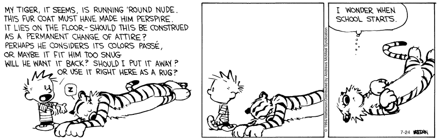Calvin and Hobbes