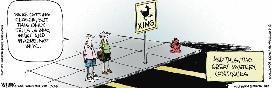 Non Sequitur