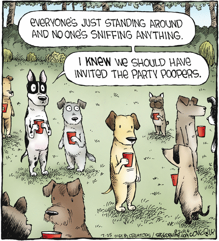 Speed Bump