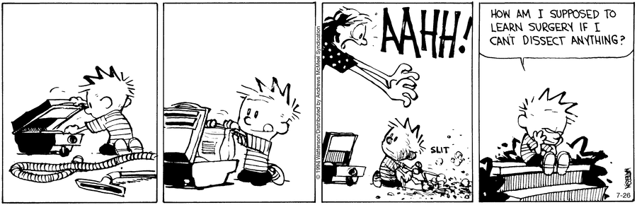 Calvin and Hobbes