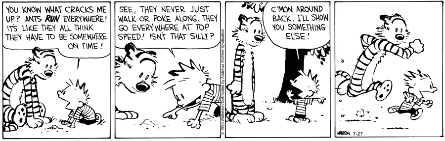Calvin and Hobbes