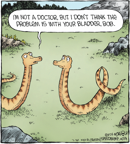 Speed Bump
