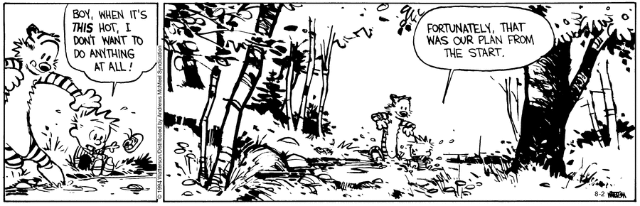 Calvin and Hobbes
