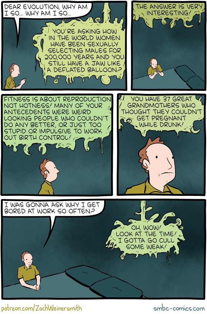 Saturday Morning Breakfast Cereal