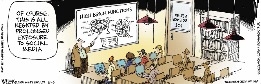 Non Sequitur