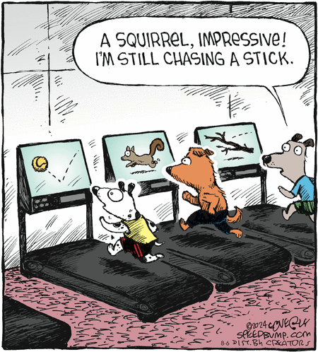 Speed Bump