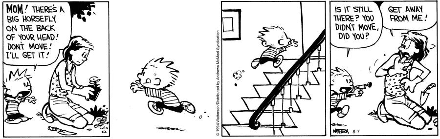 Calvin and Hobbes