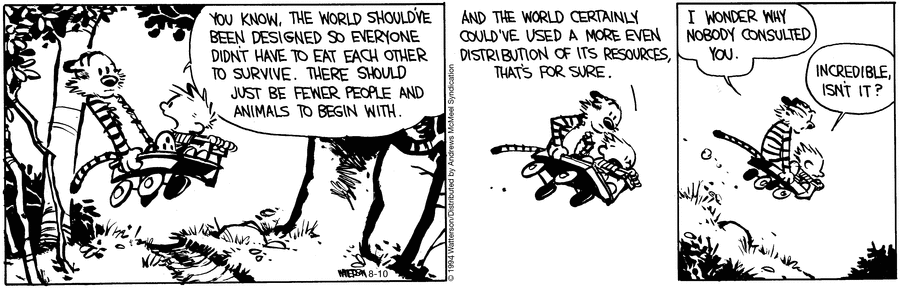 Calvin and Hobbes