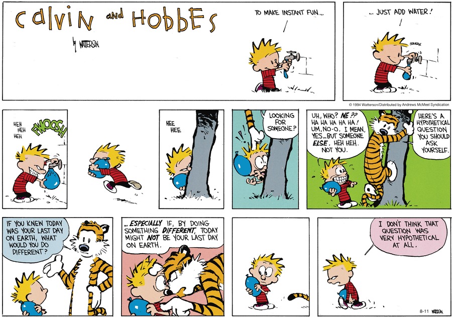 Calvin and Hobbes