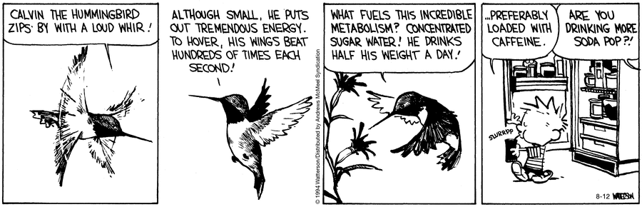 Calvin and Hobbes