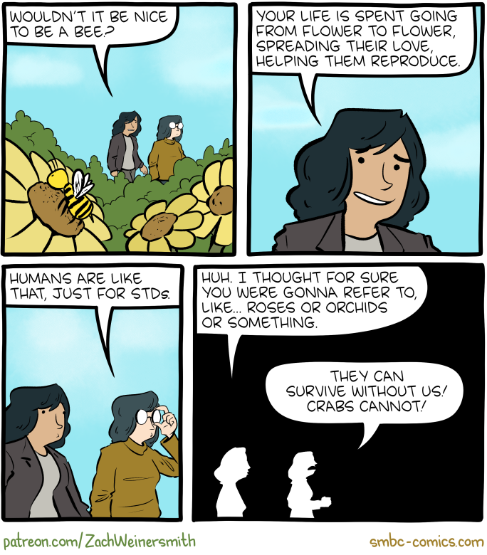 Saturday Morning Breakfast Cereal