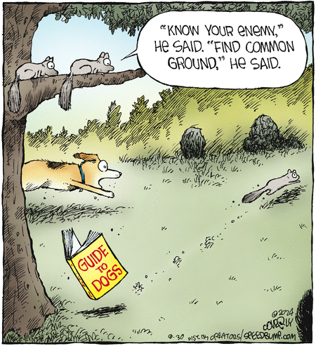 Speed Bump