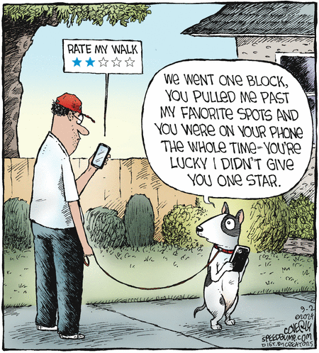 Speed Bump
