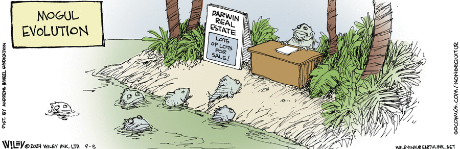 Non Sequitur