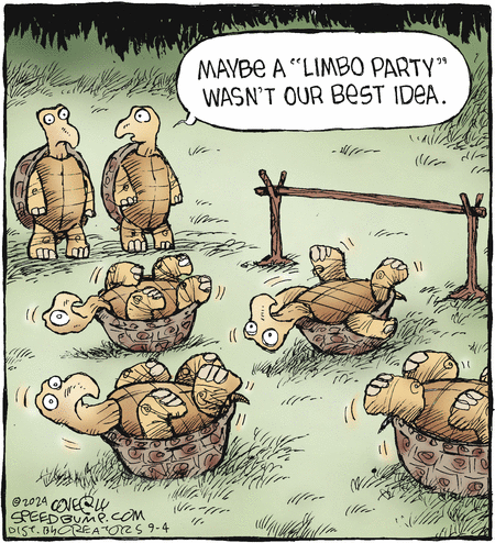 Speed Bump