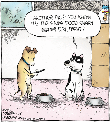 Speed Bump