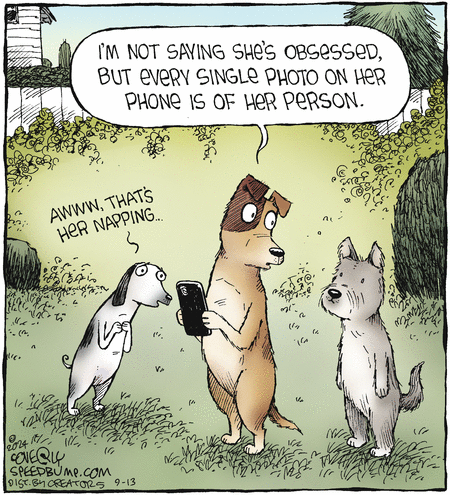 Speed Bump