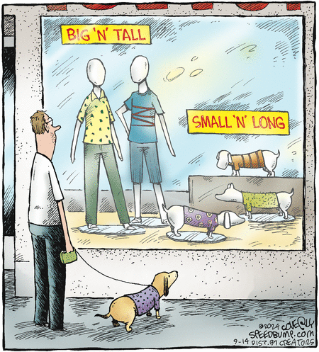 Speed Bump