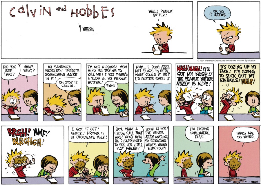 Calvin and Hobbes