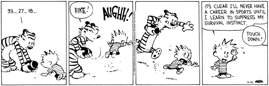 Calvin and Hobbes