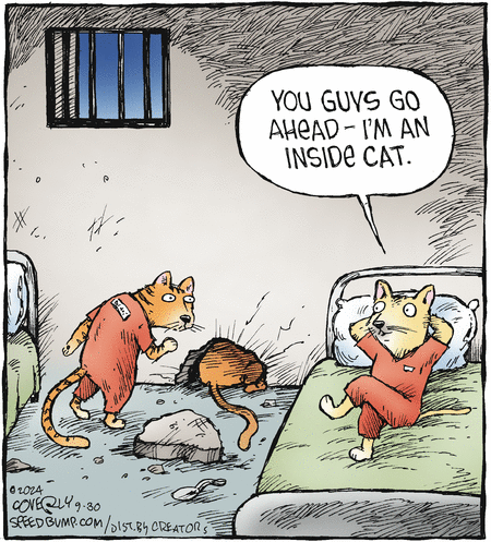 Speed Bump