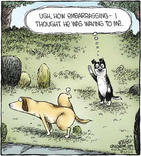 Speed Bump