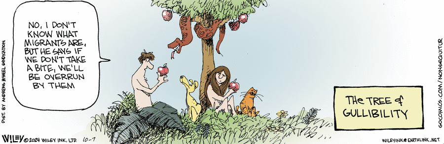 Non Sequitur