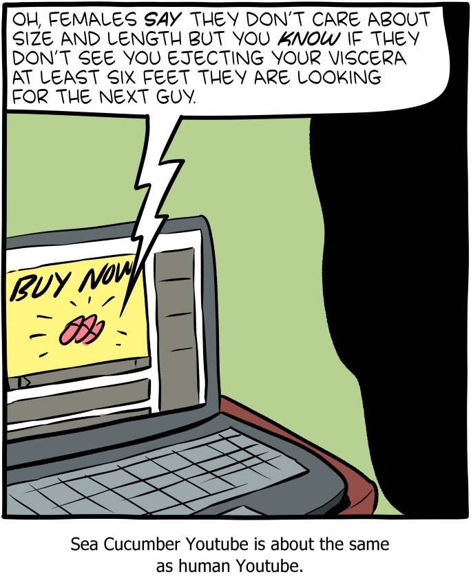Saturday Morning Breakfast Cereal