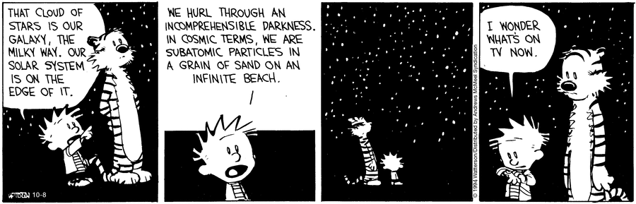 Calvin and Hobbes