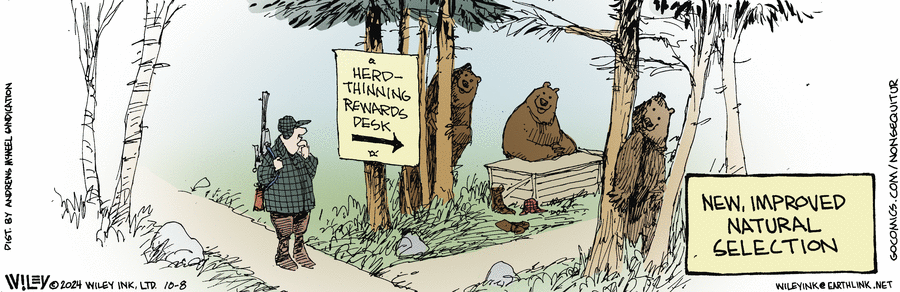 Non Sequitur