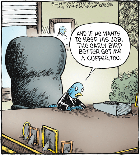 Speed Bump