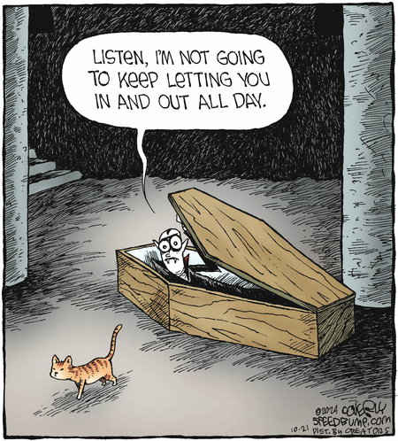 Speed Bump