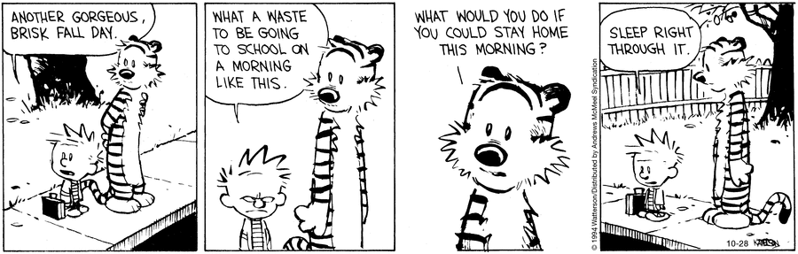 Calvin and Hobbes
